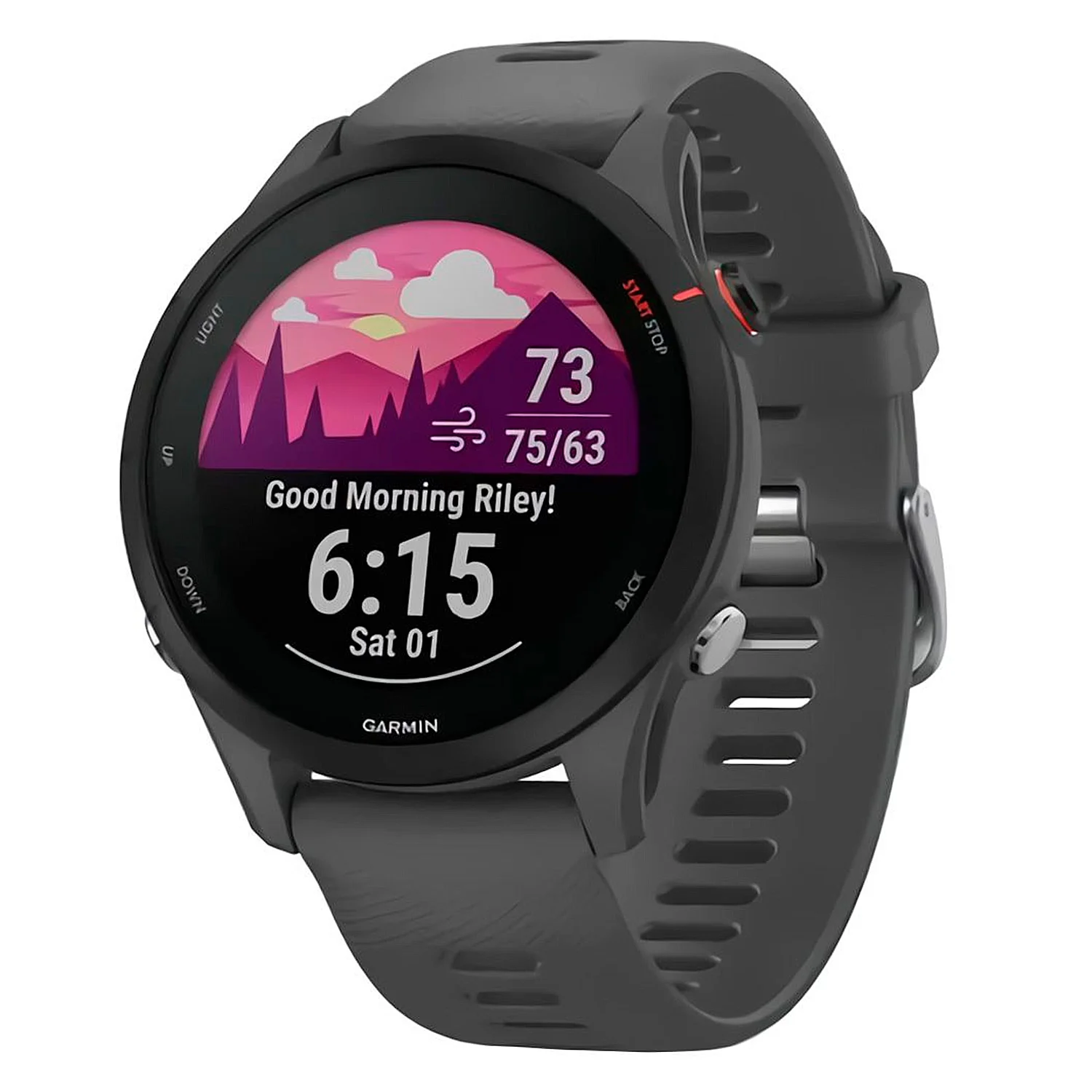 Smartwatch Garmin Forerunner 255 010-02641-00 - Cinza